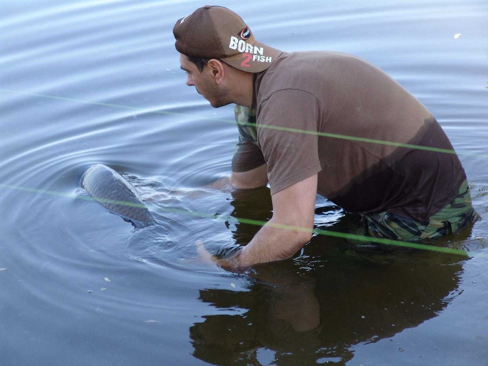 imagealt